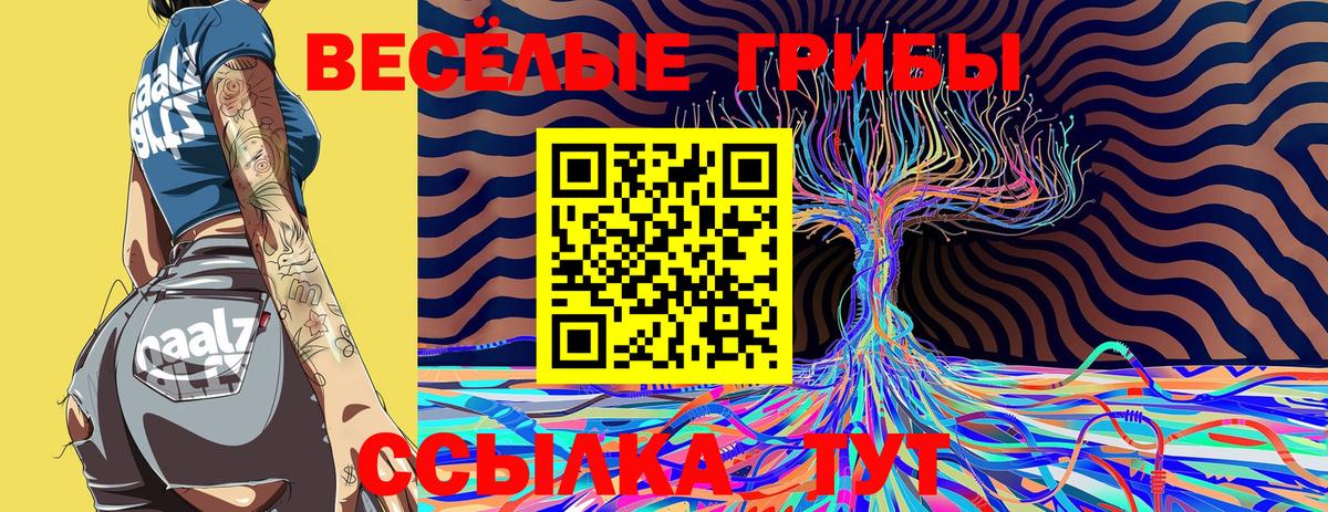 Псилоцибиновые грибы Psilocybine cubensis  Вход с VPN  Псилоцибиновые грибы Psilocybe  закладки  Краснокаменск 